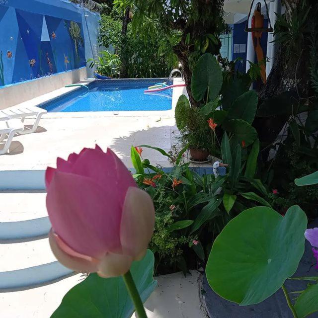 Porto Bahia Hotel ปอร์โตเซกูโร ภายนอก รูปภาพ