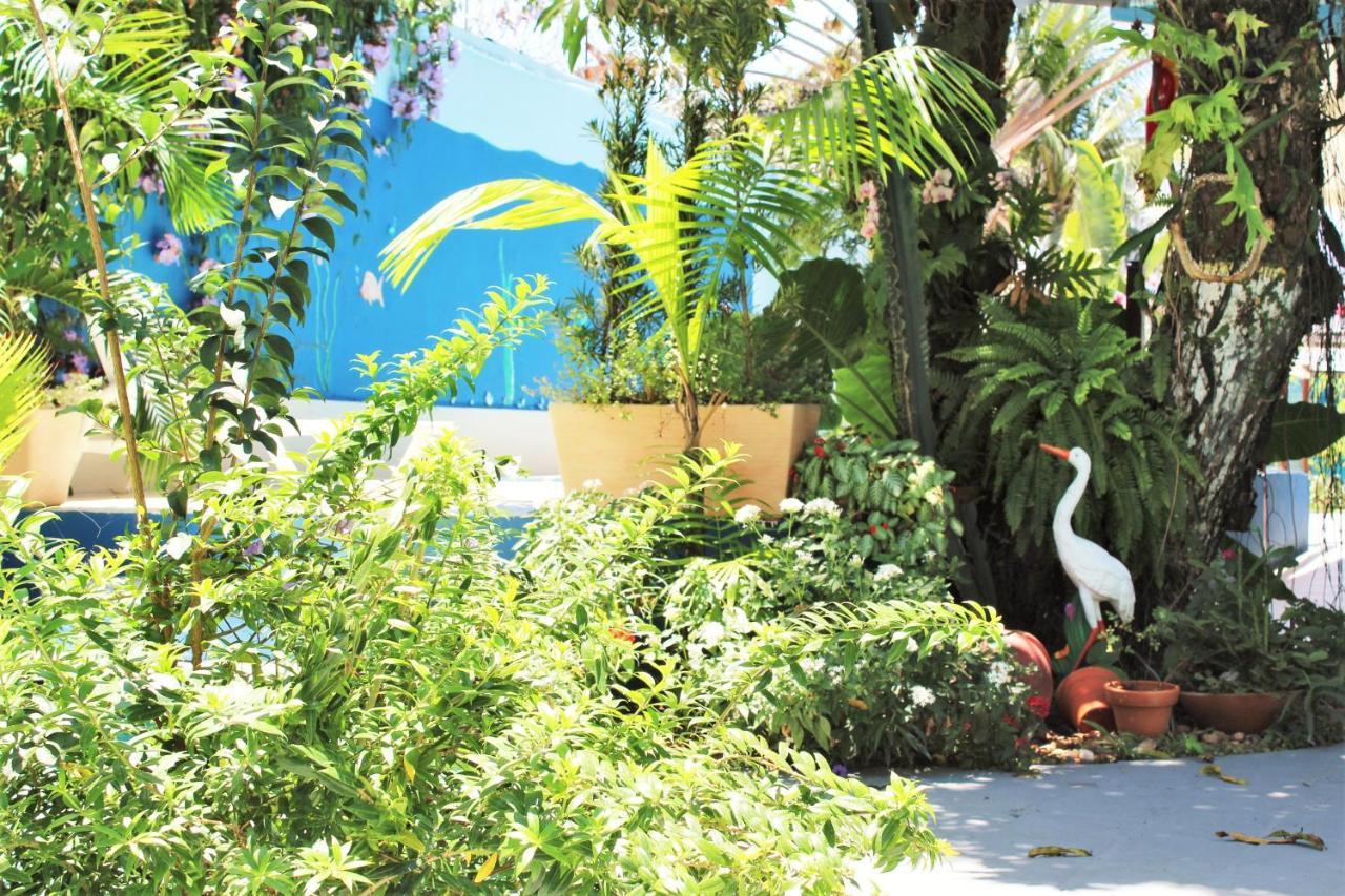 Porto Bahia Hotel ปอร์โตเซกูโร ภายนอก รูปภาพ