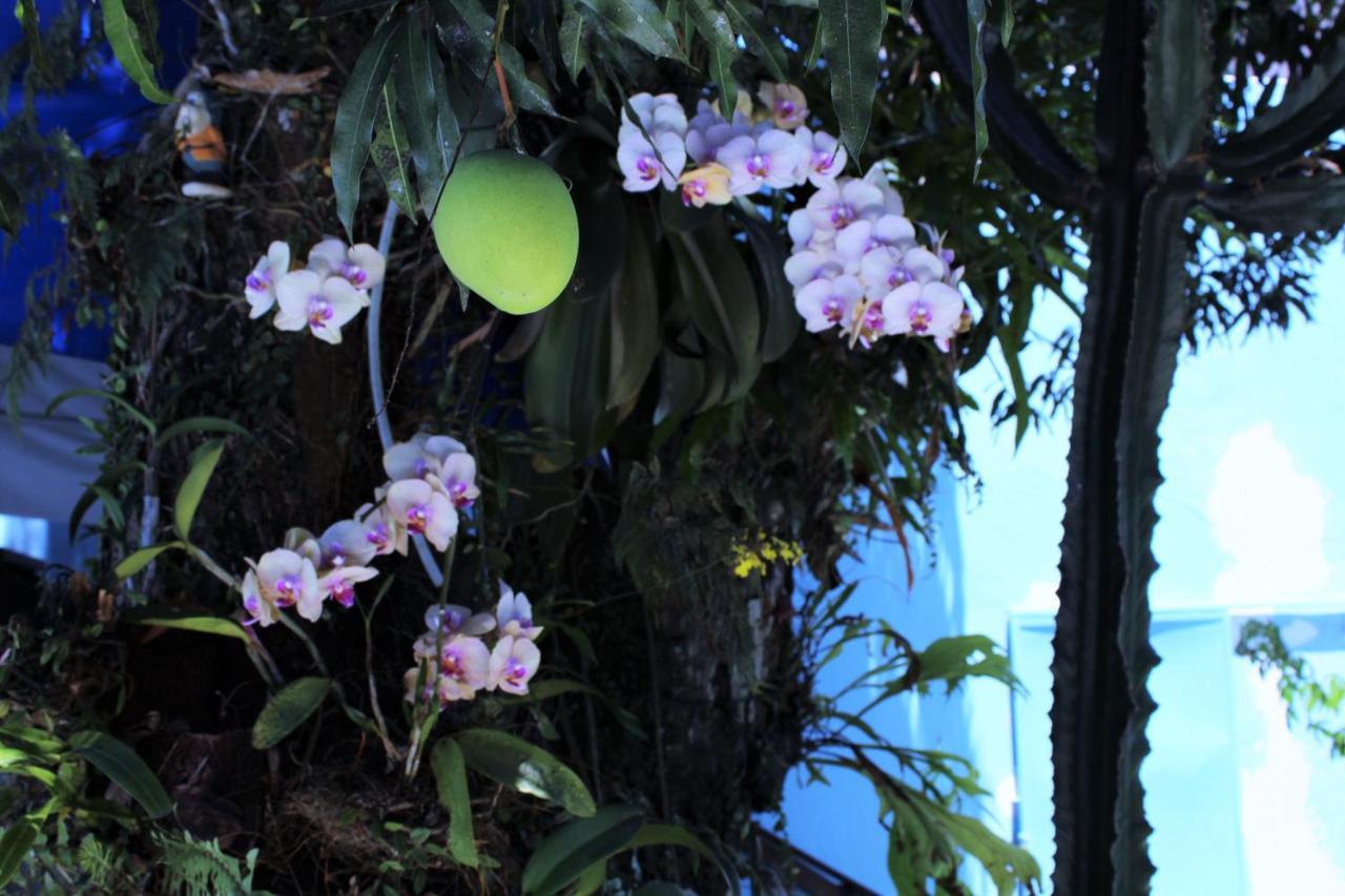 Porto Bahia Hotel ปอร์โตเซกูโร ภายนอก รูปภาพ